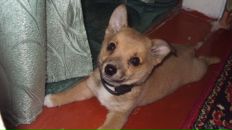 Вікуся Кондратенко фотография #31 (источник - https://vk.com/id97833529)