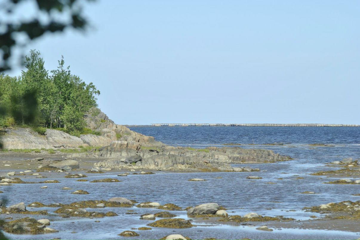 Дмитрий Павловский фотография #30