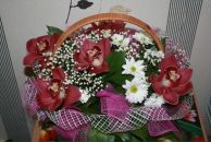 Фотография Шишкиной Натальи