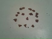 Фотография Самоделкина Алексея