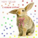 Фотография Исаева Никиты