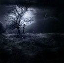 Γеннадий Κозлов фотография #6 (источник - https://vk.com/id159831997)