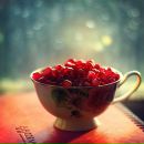 Фотография Новиковой Надежды