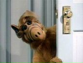 Фотография Посыпкина Александра