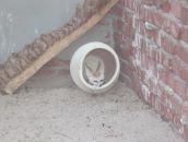 Фотография Гильвановой Ирины