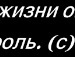 Артем Лісовий фотография #27 (источник - https://vk.com/id154065551)