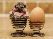 Тетяна Єськова фотография #12 (источник - https://vk.com/id2347817)