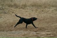 Вова Юрочкін фотография #27 (источник - https://vk.com/id15084244)