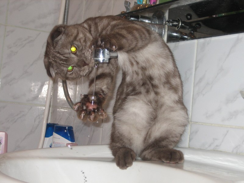 Mars Explosion фотография #7