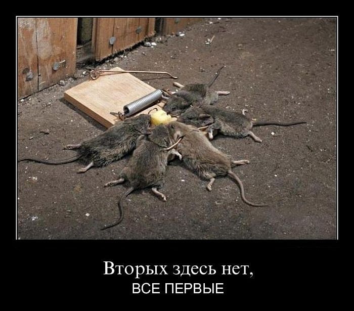 Игорь Борзенков фотография #2