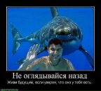 Фотография Дуболара Николая