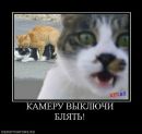Фотография Жердовой Марии