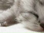 Настя Передерий фотография #39 (источник - https://vk.com/id166318049)