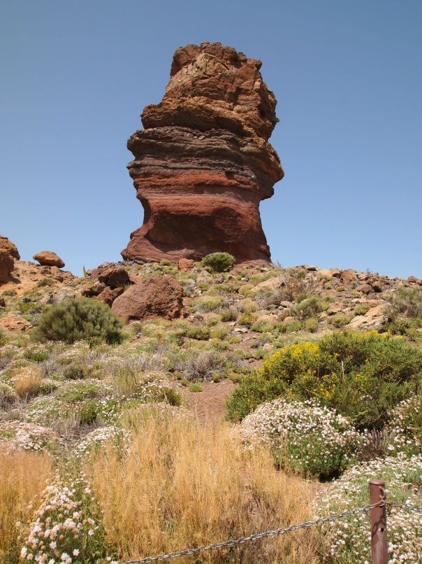 Мария Цырулева фотография #25