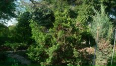 Георгий Никитенко фотография #42 (источник - https://vk.com/id2412298)