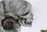 Фотография Кононова Евгения