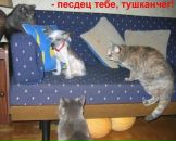 Євгеній Конотопенко фотография #49 (источник - https://vk.com/id70231724)