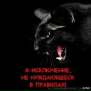 Анатолій Бабінець фотография #2 (источник - https://vk.com/id156322255)