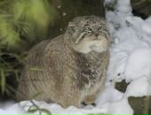 Фотография Кузнецова Михаила