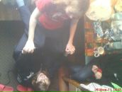 Анюта Білінська фотография #43 (источник - https://vk.com/id20506827)