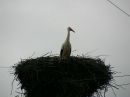 Віктор Савчак фотография #33 (источник - https://vk.com/id139695503)