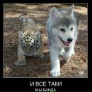 Андрій Бейлах фотография #37 (источник - https://vk.com/id68800790)
