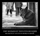 Вітя Салюк фотография #5 (источник - https://vk.com/id97726415)