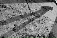 Фотография Невьянцева Григория