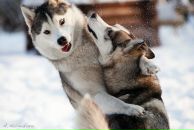 Яркий Мир фотография #5 (источник - https://vk.com/id83056)