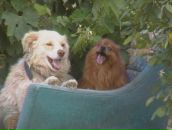 Сергій Петров фотография #34 (источник - https://vk.com/id92831660)