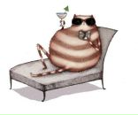 Фотография Черкасовой Дарьи