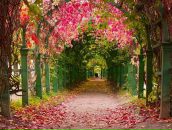 Inna♥sweet Kobyleva фотография #47 (источник - https://vk.com/id95467402)