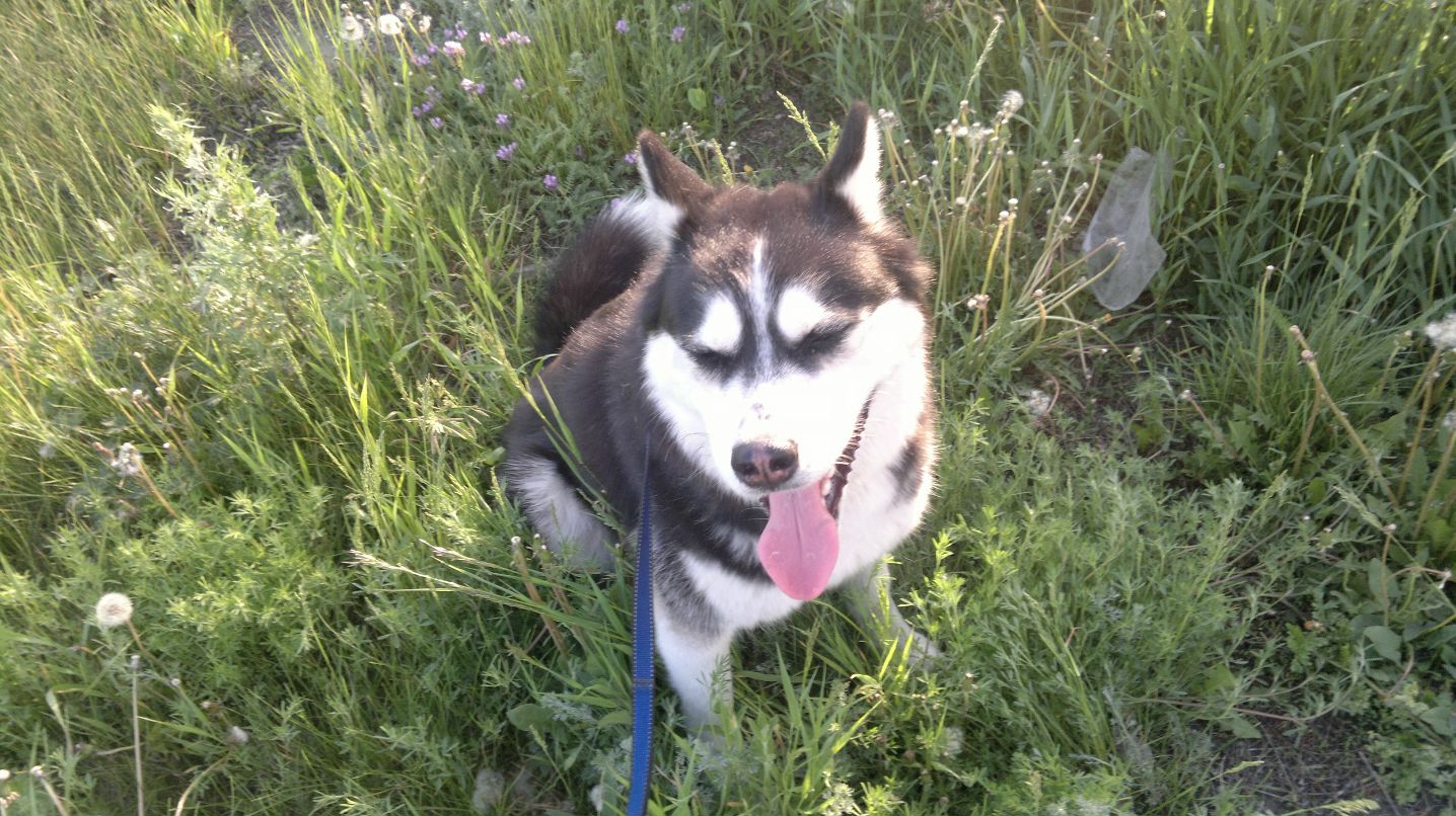 Денис Линник фотография #37