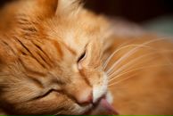 Андрій Ємельяненко фотография #9 (источник - https://vk.com/id11656710)