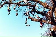 Даша Моррис фотография #22 (источник - https://vk.com/id4165526)