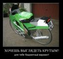 Фотография Игнатова Владислава
