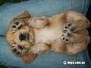 Вітуся Сторчак фотография #28 (источник - https://vk.com/id166223898)