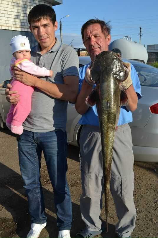 Раиль Урманчеев фотография #49