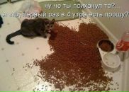 Дмитрий Недбайло фотография #11 (источник - https://vk.com/id1300758)