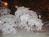 Віта Соловей фотография #49 (источник - https://vk.com/id29686152)