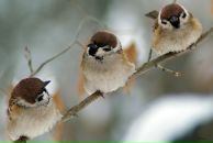 Фотография Цукерман Екатерины