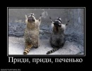 Віктор Данчин фотография #11 (источник - https://vk.com/id120206345)