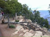 Ірина Длужевська фотография #1