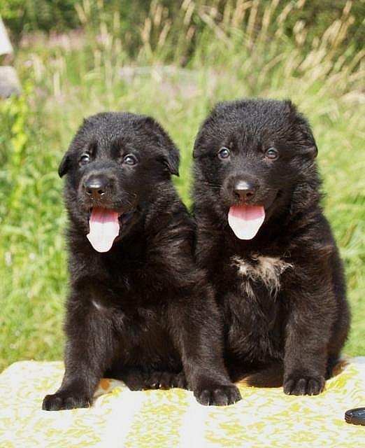 Игорь Феденко фотография #16