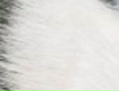 Міша Линник фотография #15 (источник - https://vk.com/id22748640)