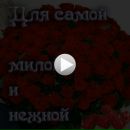 Іра Чистюхіна фотография #23 (источник - https://vk.com/id60375958)