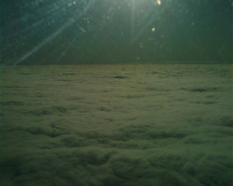 Евгений Нечаев фотография #27