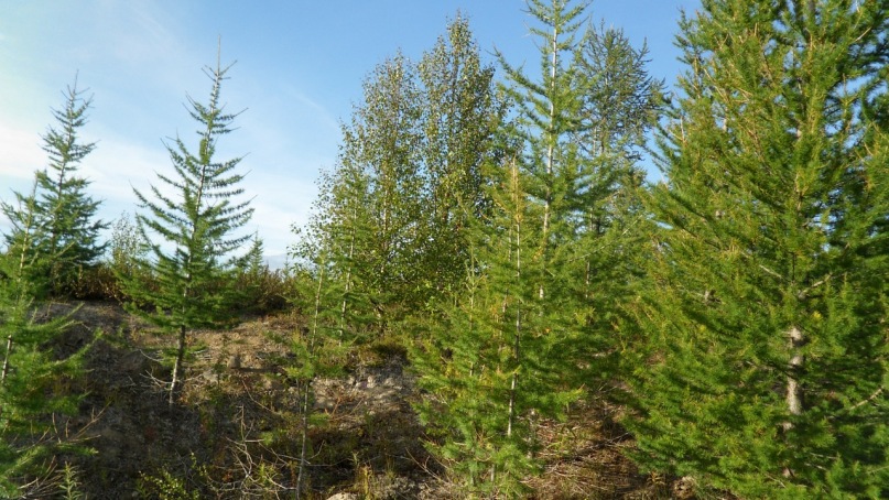 Илья Чумак фотография #21