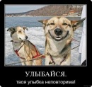 Віталік Шелест фотография #7 (источник - https://vk.com/id78166291)