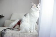 Фотография Рокитян-Ракитинской Екатерины